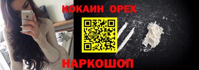 крисы Кандалакша