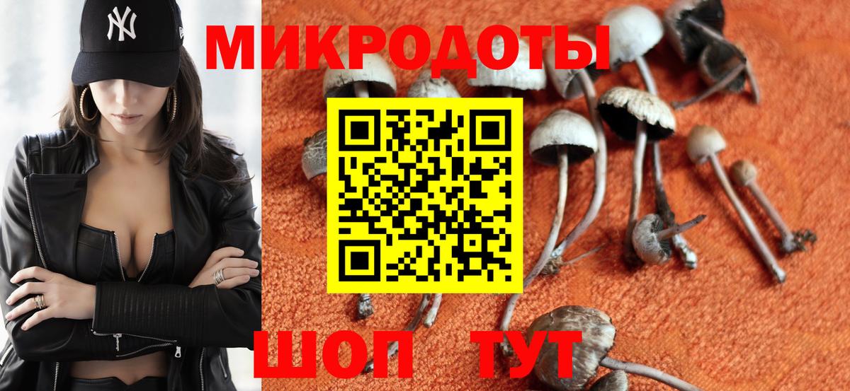 Псилоцибиновые грибы MAGIC MUSHROOMS Майкоп